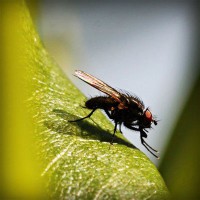 /album/smarahlayzei/photolia-a04-jpg/