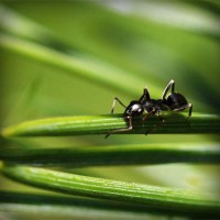 /album/smarahlayzei/photolia-a05-jpg/
