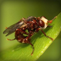/album/smarahlayzei/photolia-a06-jpg/