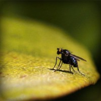/album/smarahlayzei/photolia-a07-jpg/